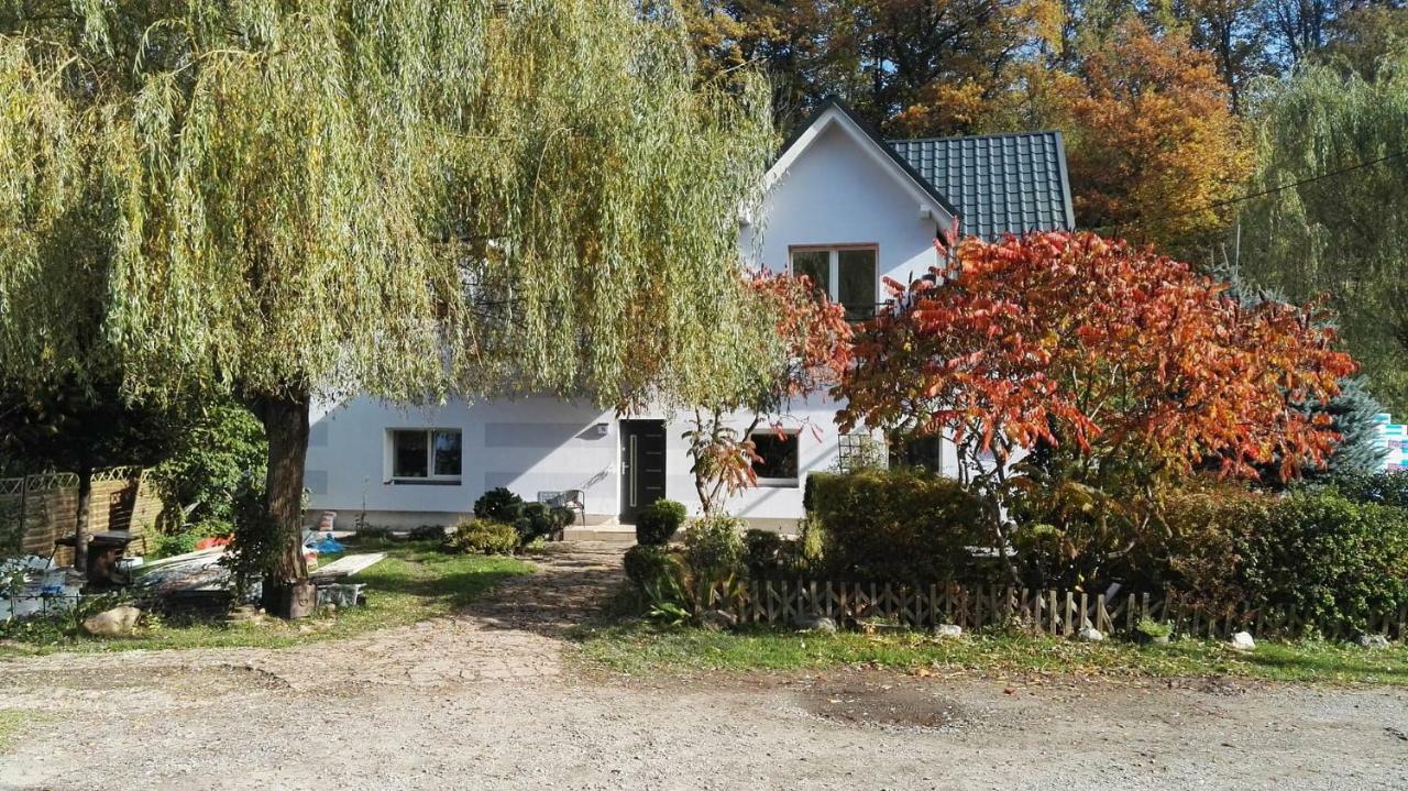 Apartamento Aura Lewin Klodzki Exterior foto