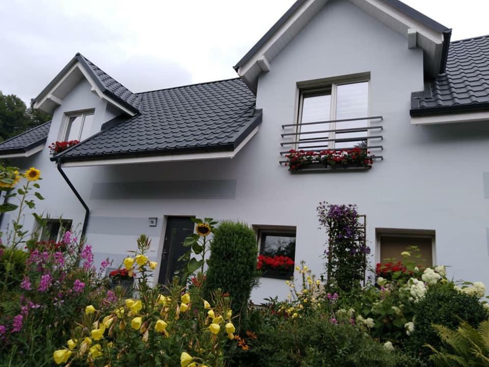 Apartamento Aura Lewin Klodzki Exterior foto