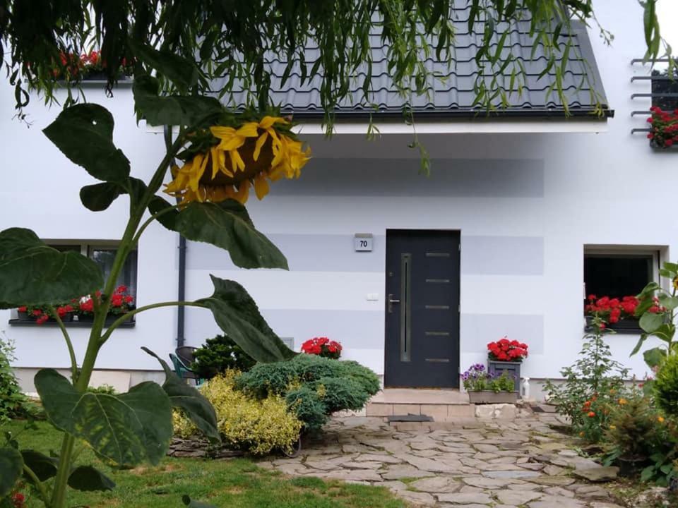 Apartamento Aura Lewin Klodzki Exterior foto